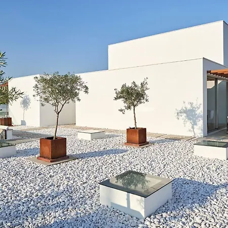 Oliveira House Guest house